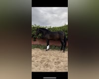 preview pic