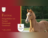 preview pic