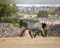 preview pic