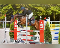 preview pic