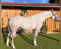 preview pic