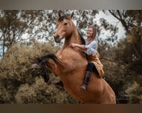 preview pic