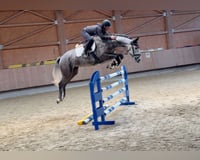 preview pic