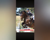 preview pic