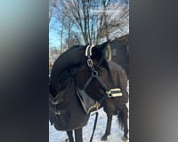 preview pic