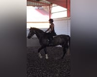 preview pic