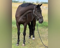 preview pic