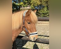 Wallach 10 Jahre