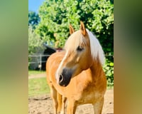 preview pic