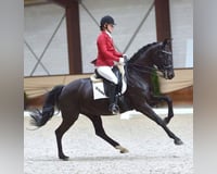 preview pic
