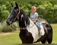 preview pic
