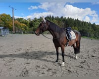 preview pic