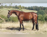 preview pic
