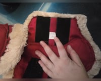 preview pic