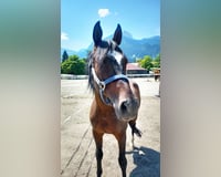 preview pic