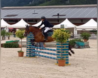 preview pic