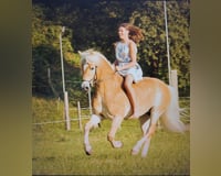 preview pic