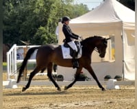 preview pic