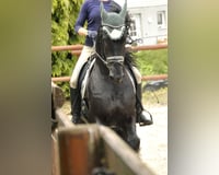 preview pic