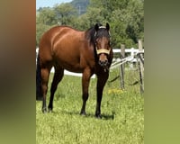 preview pic