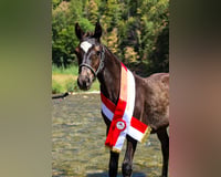 preview pic