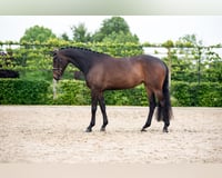 preview pic