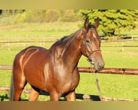 preview pic