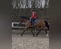 preview pic