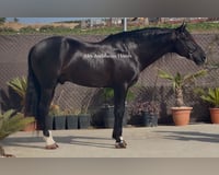 preview pic