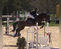 preview pic