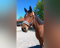preview pic