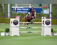 preview pic