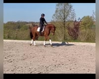 preview pic