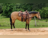 preview pic