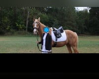 preview pic