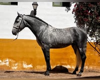 preview pic