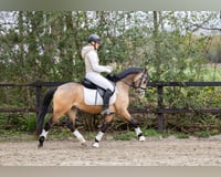 preview pic