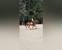 preview pic