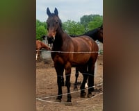 preview pic