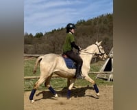 preview pic