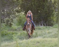 preview pic