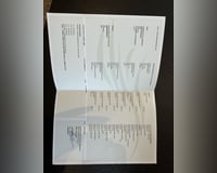 preview pic