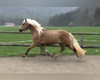 preview pic
