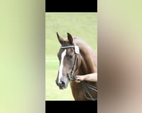 preview pic