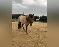 preview pic