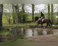 preview pic