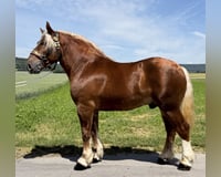 preview pic