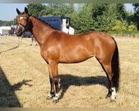 preview pic