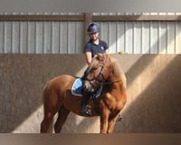 preview pic