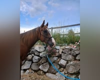 preview pic